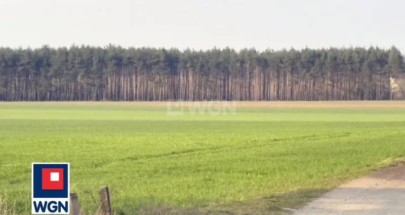 Dom na  sprzedaż Pokój, Zieleniec - 295 m2 w sercu Stobrawskiego Parku Krajobrazowego